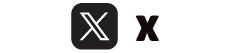 公式X